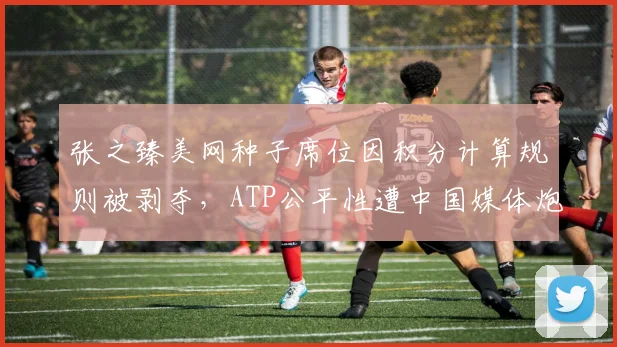 张之臻美网种子席位因积分计算规则被剥夺，ATP公平性遭中国媒体炮轰